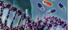 analise-de-dna-em-suzano-1436553258