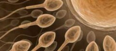 clinicas-de-fertilizacao-humana-em-suzano-1436554107