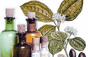Farmácia Hahnemann Homeopatia E Manipulação - Foto 1