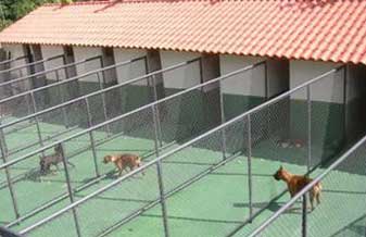 Clínica Veterinária e Pet Shop Barão - Foto 1