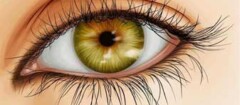 iridologia-em-suzano-1436558228