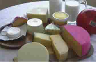 Yakult - Foto 1