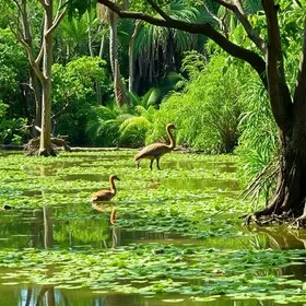 Bioparque Pantanal