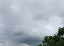 previsão do tempo em Suzano