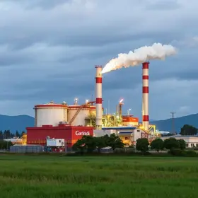 parceria Suzano Galp mercado livre de gás