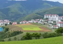 Seletivo da Prefeitura de Suzano SP