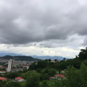 Suzano