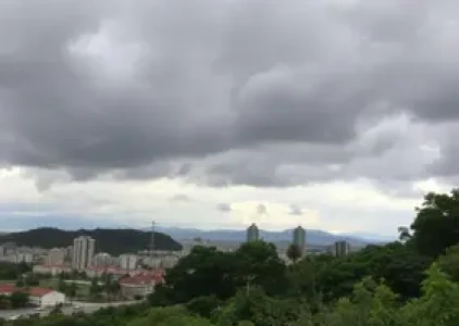 Últimas noticias de Suzano