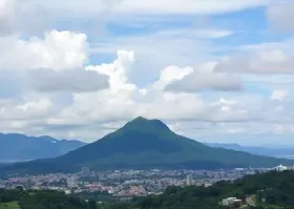 Últimas noticias de Suzano