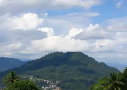 Últimas noticias de Suzano