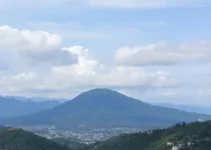Suzano Mais Emprego