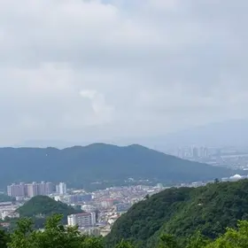 Operação Visibilidade
