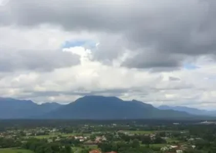 Últimas noticias de Suzano