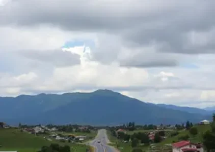 Últimas noticias de Suzano