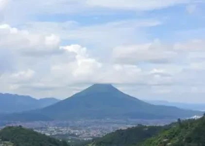 Últimas noticias de Suzano