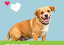 adoção de pets