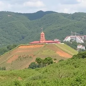 Prefeitura de Suzano