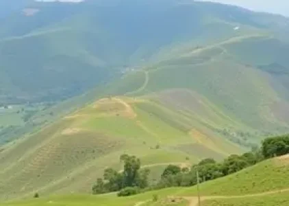 Últimas noticias de Suzano