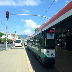 Desvios Temporários Linhas 01TR e 07TR Suzano