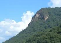 Prefeitura de Suzano SP