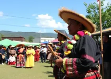 Últimas noticias de Suzano