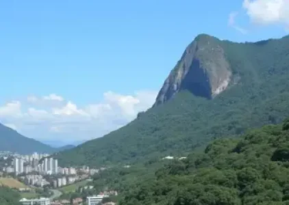 Últimas noticias de Suzano