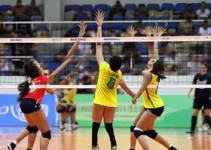 Paulista de vôlei masculino