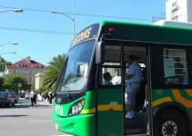 ônibus gratuitos Suzano