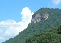 vagas de emprego em Suzano