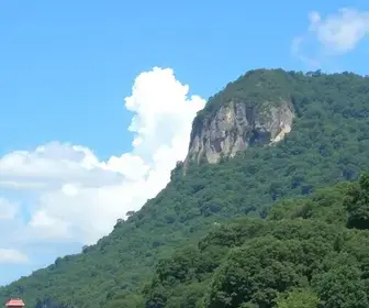 vagas de emprego em Suzano